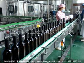 藍莓果酒生產(chǎn)線-飲料設(shè)備